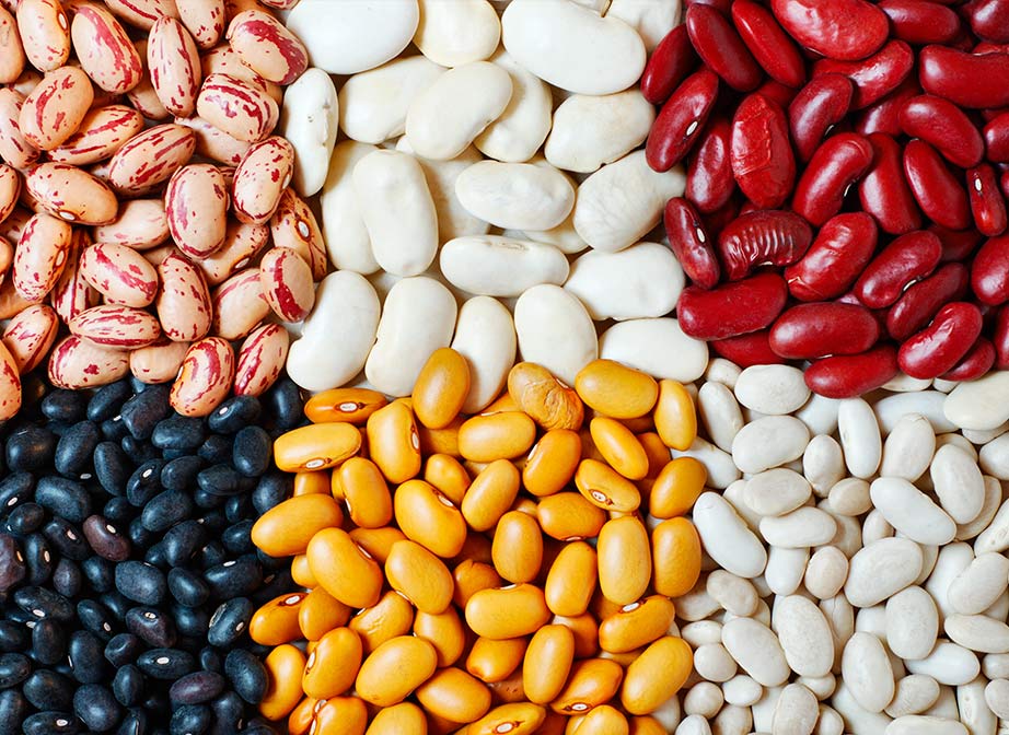 Criollos Foods Food Packaging & Production facility showing manufacturing operations